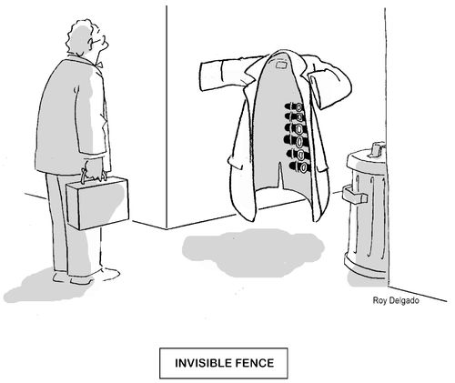 Invisible Fence.