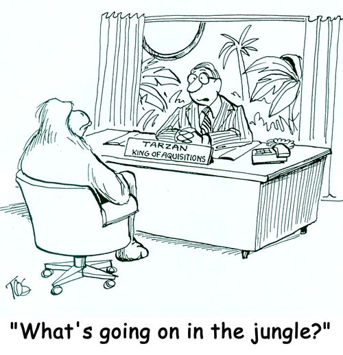'What's going on in the jungle'