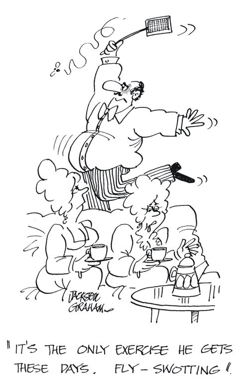 'It's the only exercise he gets these days. Fly swotting'.