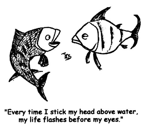 'Every time I stick my head above water, my life flashes before my eyes.'