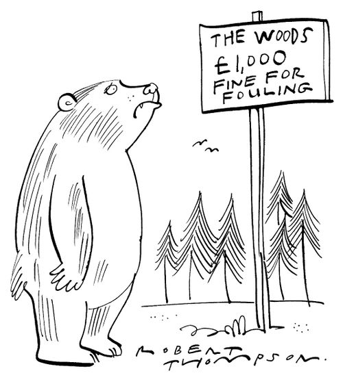 £1,000 Fine for Fouling Woods