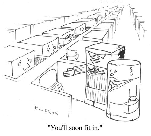 "You'll soon fit in!"