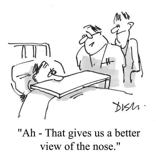 "Ah - that gives us a better view of the nose."