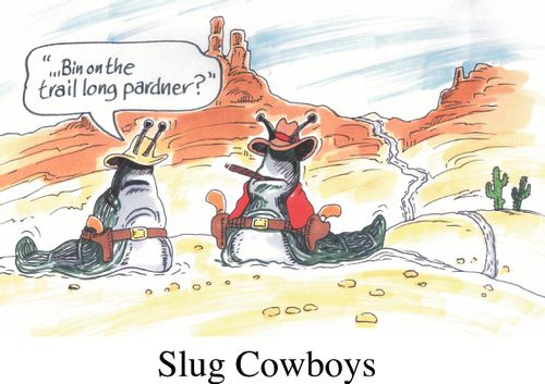 Slug cowboys