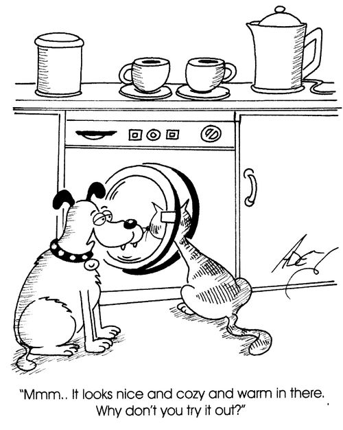 "Mmm...It looks nice and cozy and warm in there...Why don't you try it out?"