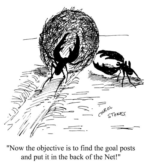 "Now the objective is to find the goalposts and put it in the back of the net."