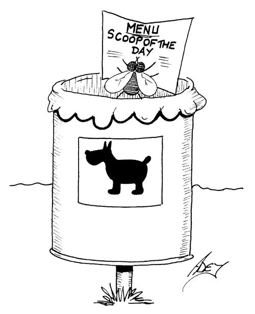 Dog mess - Menu, Scoop of the Day