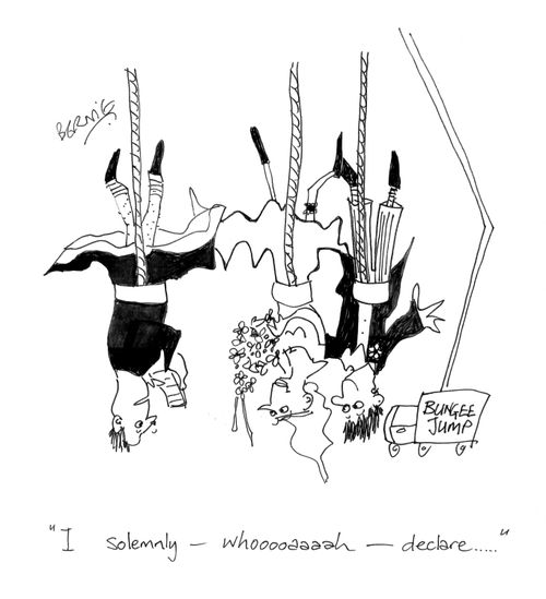 'I solemnly - whooooaaah - delcare...'