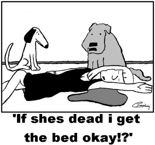 'If she's dead i get the bed okay!?'