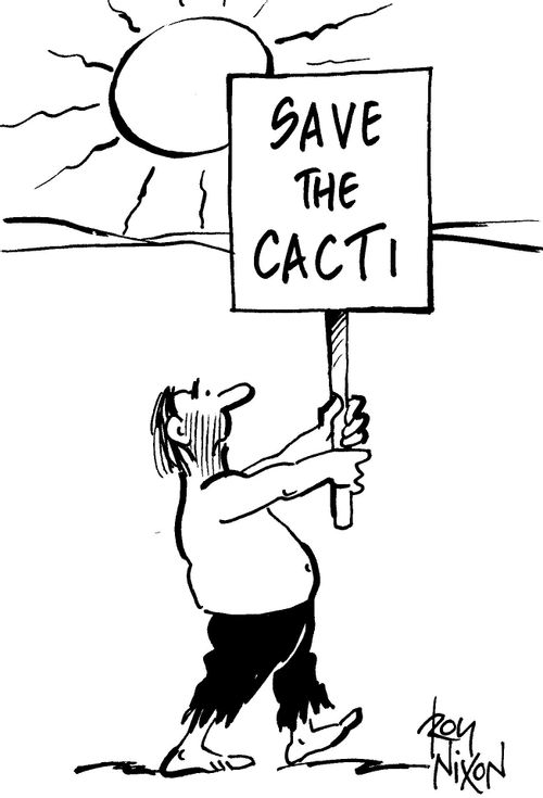Save the Cacti.