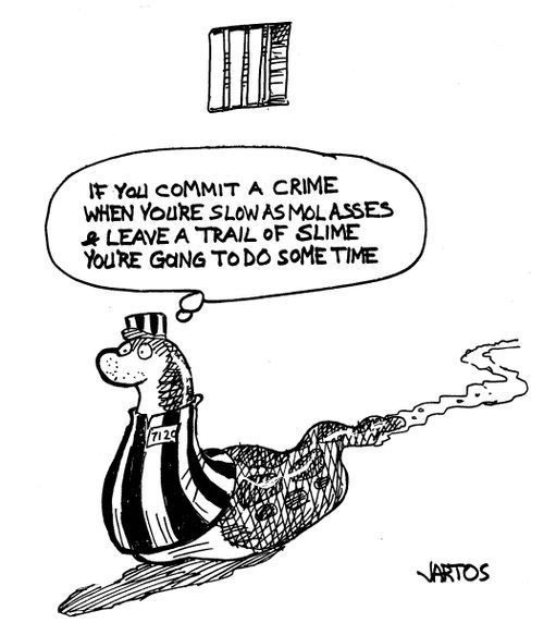 'If you commit a crime when you're slow as molasses & leave a trail of slime you're going to do some time.'