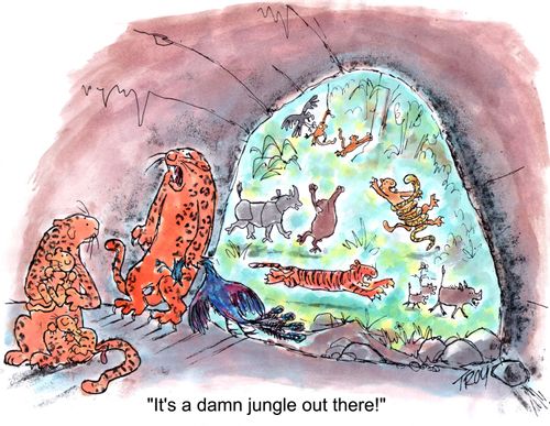 'It's a damn jungle out there!'