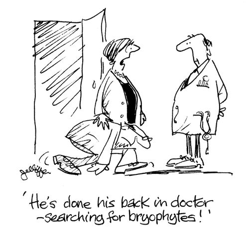 'He's done his back in doctor, searching for bryophytes!'