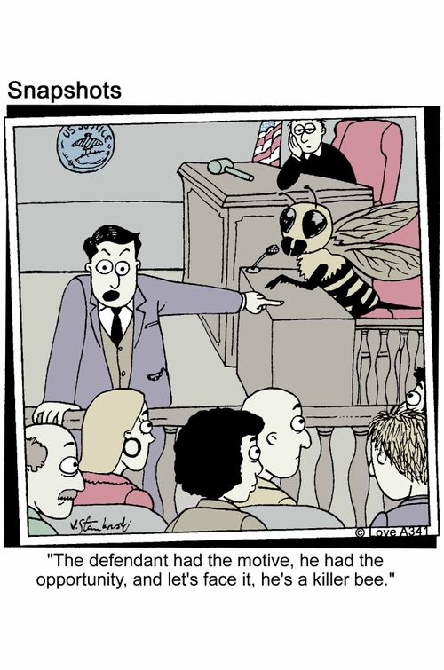 'The defendant had the motive, he had the opportunity, and let's face it, he's a killer bee.'