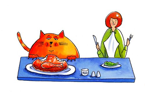 Fat cat.