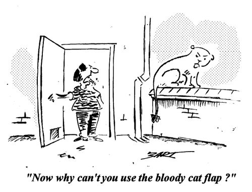 "Why can't you use the bloody cat flap?"