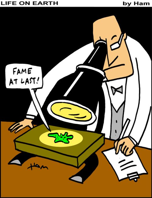 Bacteria fame at last.
