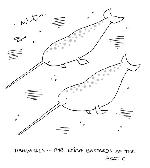 Narwhals...the lying b****rds of the Arctic. 