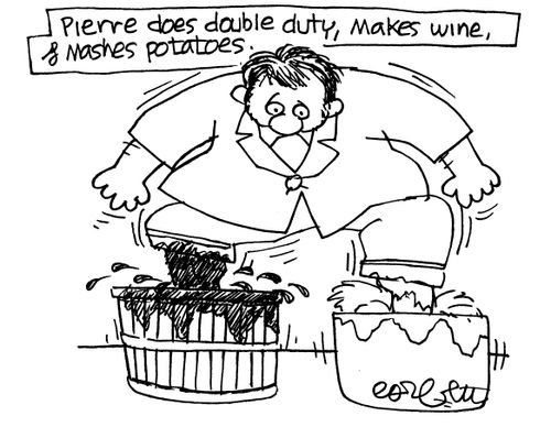 Makes wine, mashed potato.