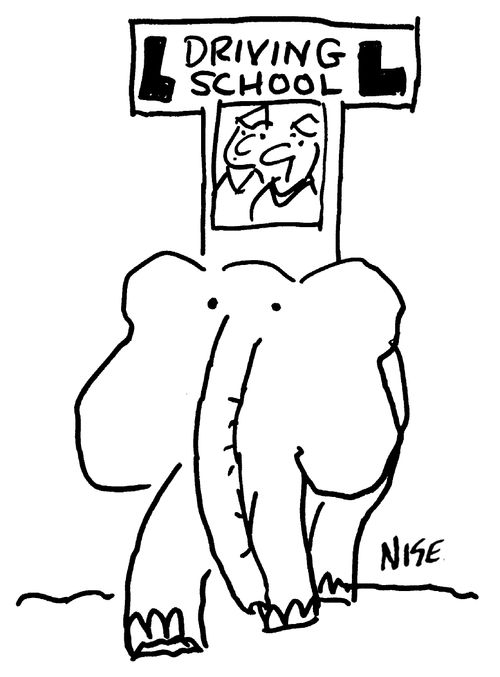 Elephant Driving School.