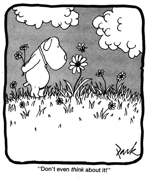 'Don't even think about it!'