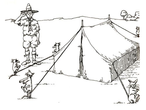 101 uses of a dead cat: tent pegs.