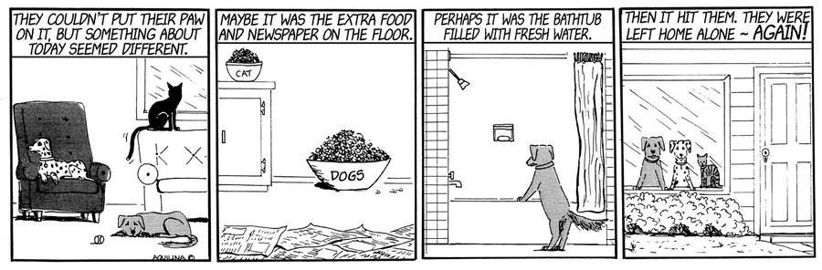 They couldn't put their paw on it, but something about today seemed different...