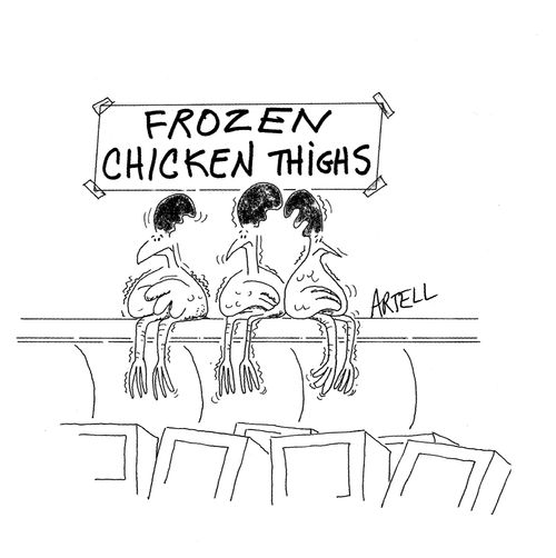 Live chickens shivering above a frozen food case. Below them is a sign that reads, 'Frozen chicken thighs.'