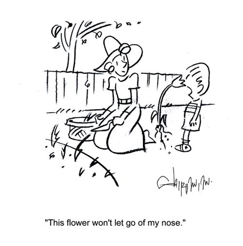 'This flower won't let go of my nose.'