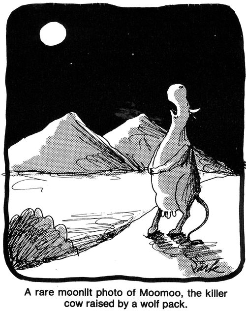 'A rare moonlit photo of Moomoo, the killer cow raised by a wolf pack.'