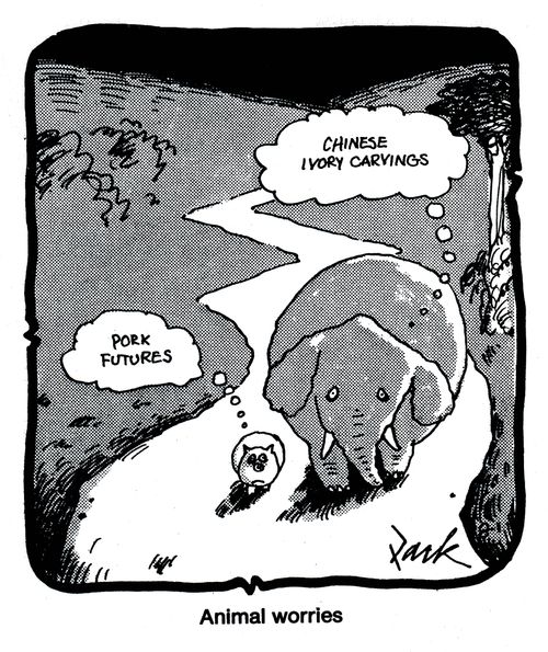 Animal worries.