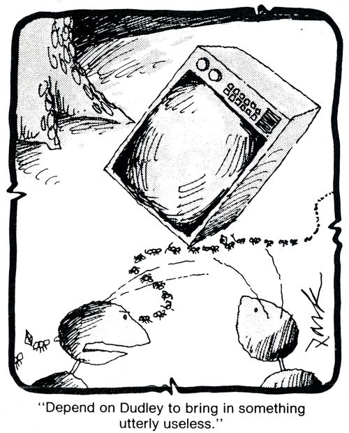 'Depend on Dudley to bring in something utterly useless.'
