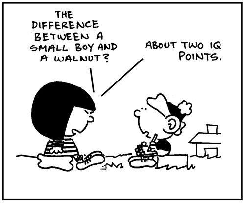'The difference between a small boy and a wallnut? About two IQ points.'