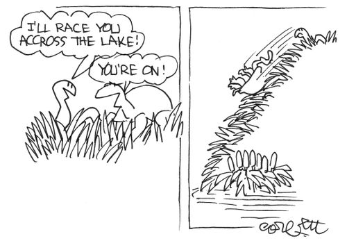 Race you across the lake!