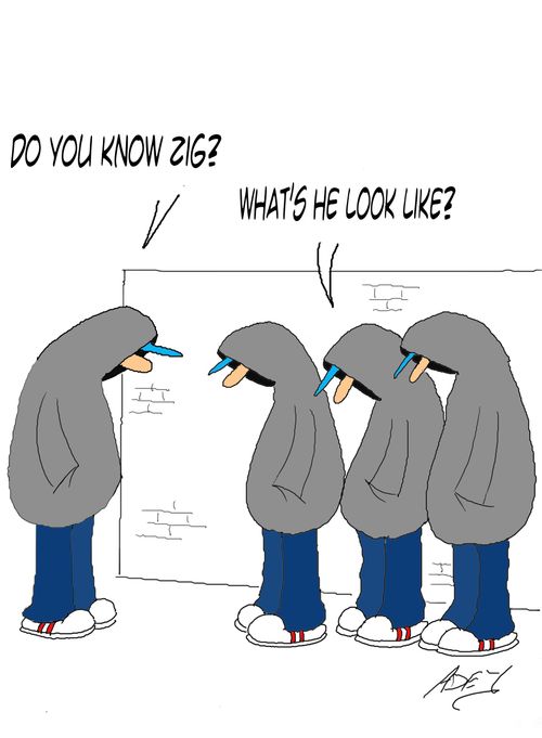 "Do you know Zig?"