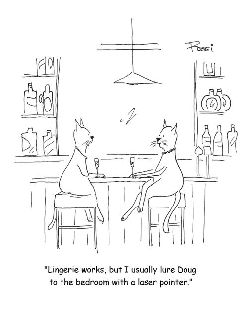 'Lingerie works, but I usually lure Doug to the bedroom with a laser pointer.'