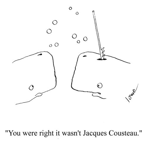 'You were right it wasn't Jacques Cousteau.'