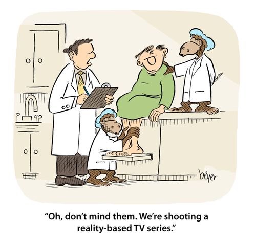 'Oh, don't mind them, We're shooting a reality-based TV series,'