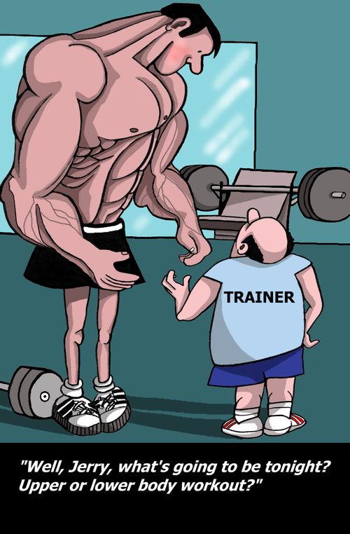 "Upper or lower body workout?"