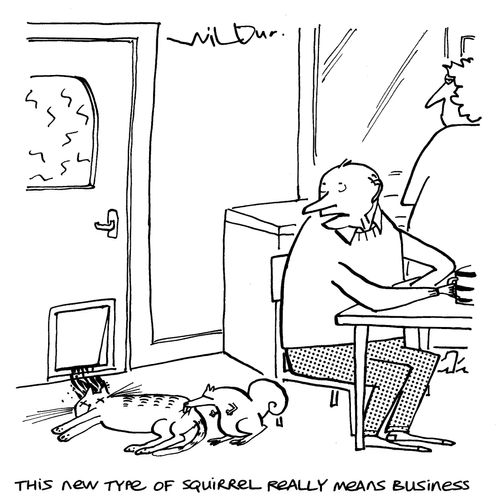 'This type of squirrel really means business.'