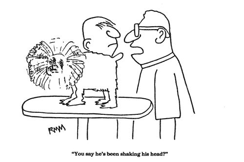 'You say he's been shaking his head?'