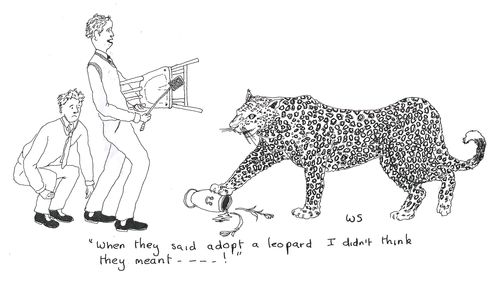 'When they said adopt a leopard I didn't think they meant...!'