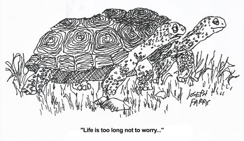'Life is too long not to worry.'