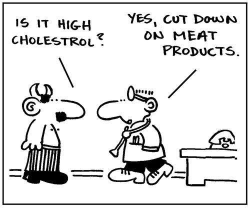 'Is it high cholestrol?'