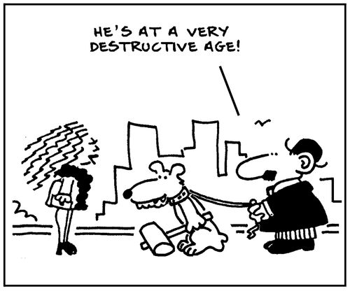 'He's at a very destructive age.'