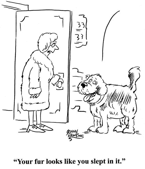 Lady in fur coat to dog: 'Your fur looks like you slept in it.'