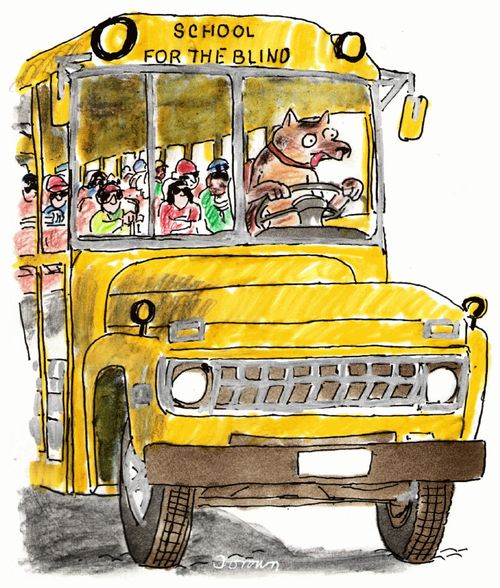 School for the blind bus being driven by a guide dog.