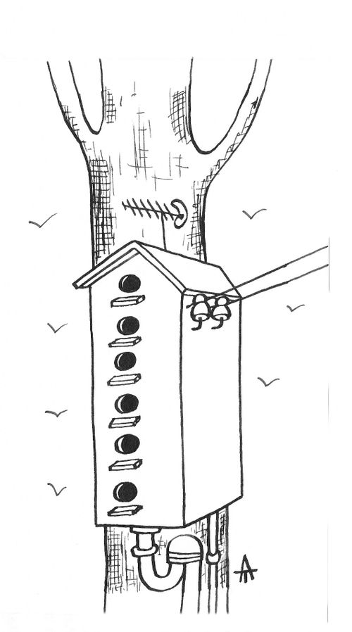 Bird box with amenities (plumbing, electricity).