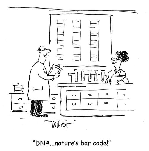 'DNA...nature's bar code.'