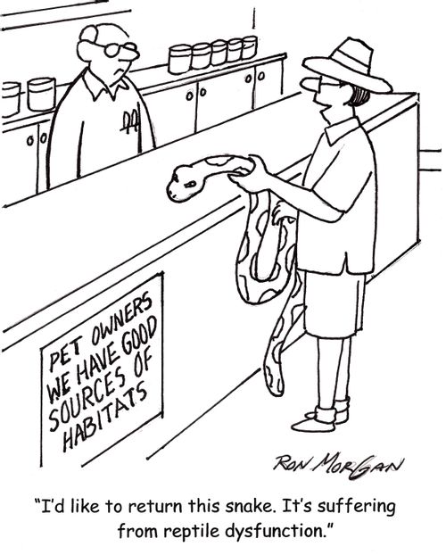 'I'd like to return this snake. It's suffering from reptile dysfunction.'